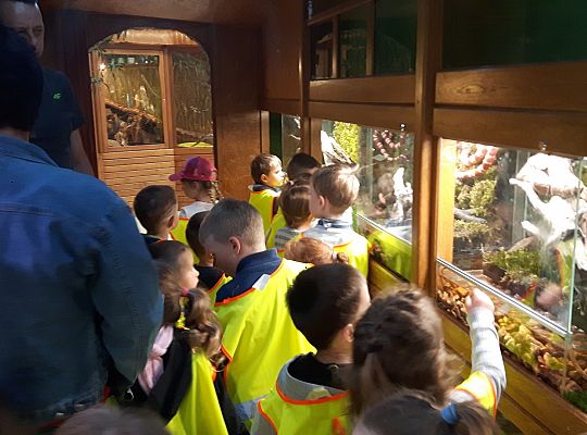 Gr II Wycieczka do Tuchlina