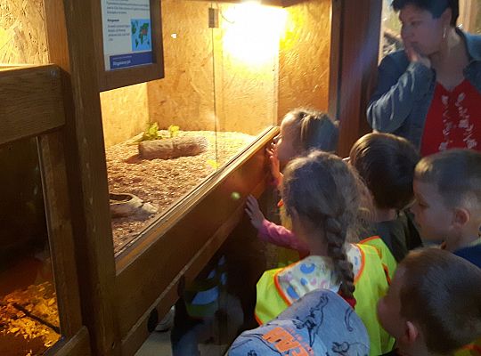 Gr II Wycieczka do Tuchlina