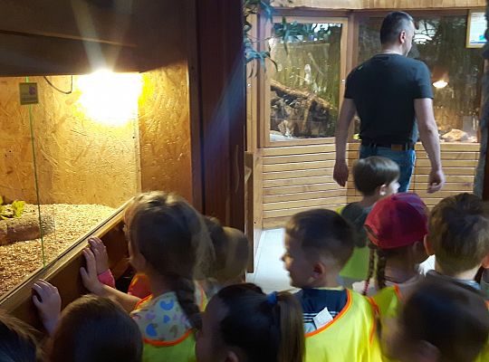 Gr II Wycieczka do Tuchlina