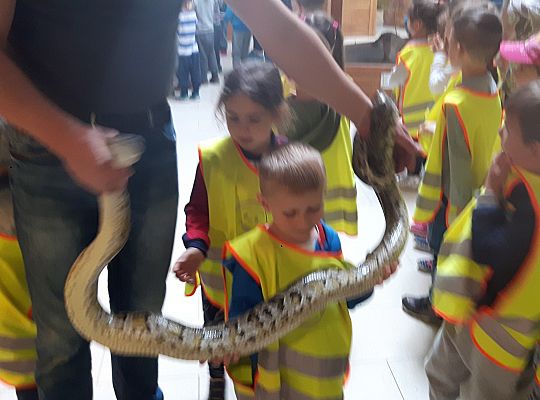 Gr II Wycieczka do Tuchlina