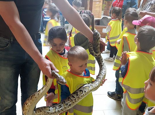 Gr II Wycieczka do Tuchlina