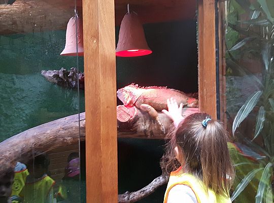 Gr II Wycieczka do Tuchlina