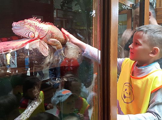 Gr II Wycieczka do Tuchlina