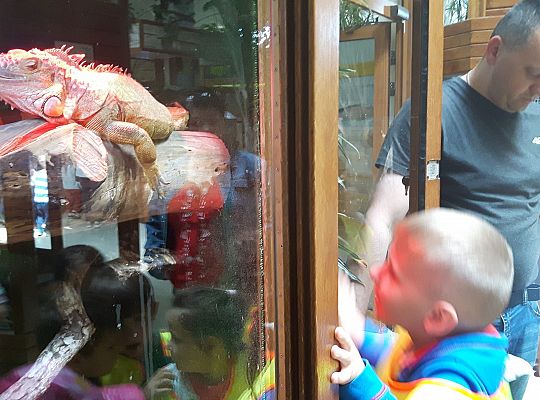 Gr II Wycieczka do Tuchlina