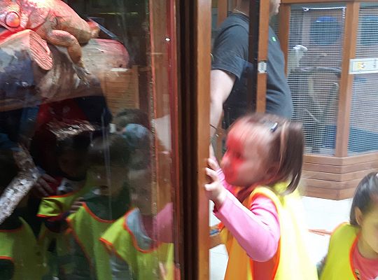 Gr II Wycieczka do Tuchlina