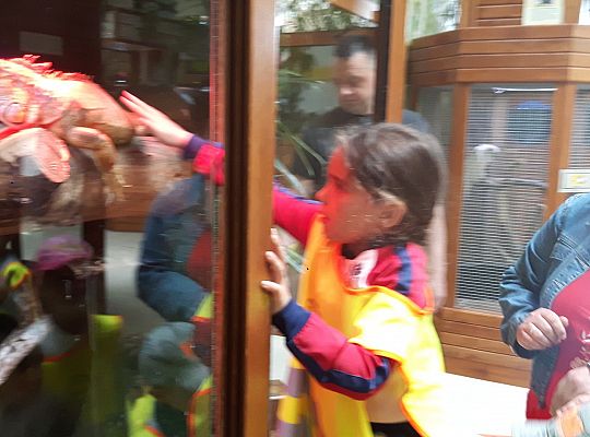 Gr II Wycieczka do Tuchlina