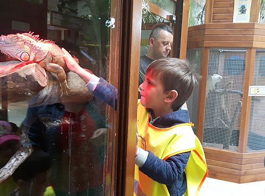 Gr II Wycieczka do Tuchlina