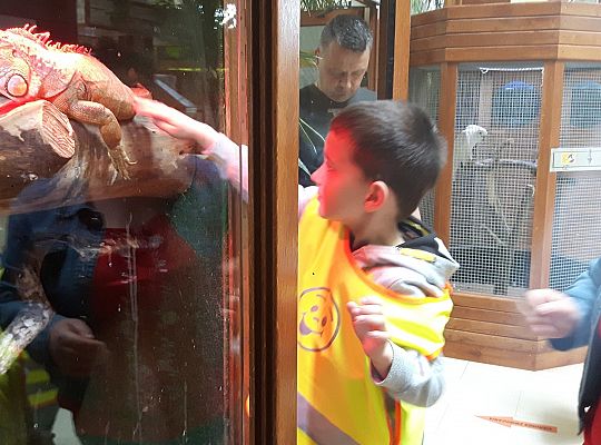 Gr II Wycieczka do Tuchlina