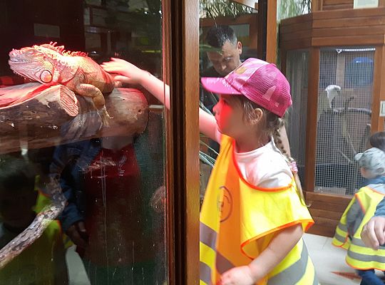 Gr II Wycieczka do Tuchlina