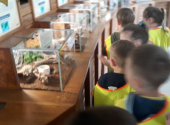 Gr II Wycieczka do Tuchlina