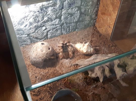 Gr II Wycieczka do Tuchlina