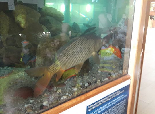 Gr II Wycieczka do Tuchlina