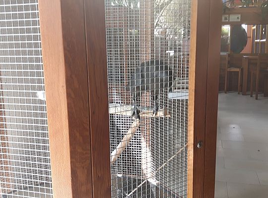 Gr II Wycieczka do Tuchlina