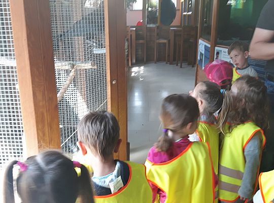 Gr II Wycieczka do Tuchlina