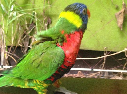 Gr I Wycieczka do Tuchlina