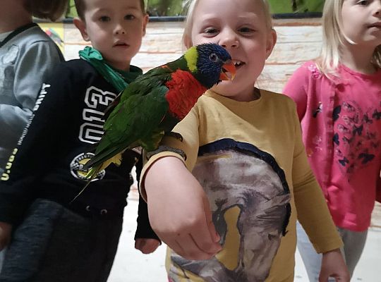 Gr I Wycieczka do Tuchlina