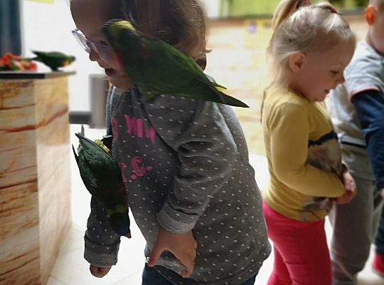 Gr I Wycieczka do Tuchlina