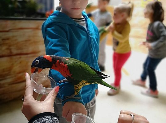 Gr I Wycieczka do Tuchlina