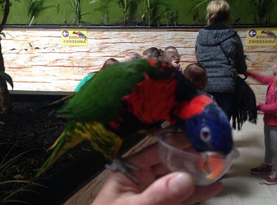 Gr I Wycieczka do Tuchlina