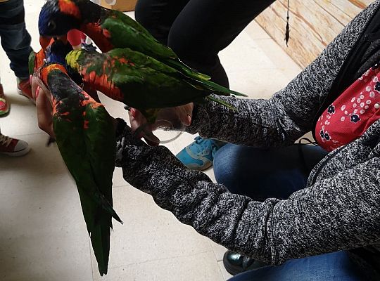 Gr I Wycieczka do Tuchlina