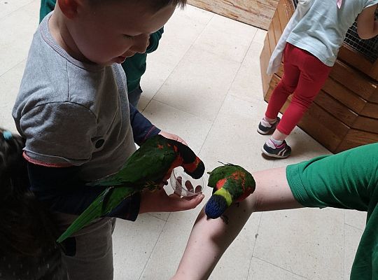 Gr I Wycieczka do Tuchlina