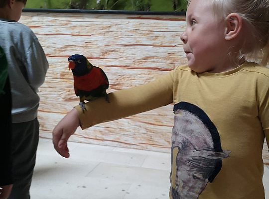 Gr I Wycieczka do Tuchlina