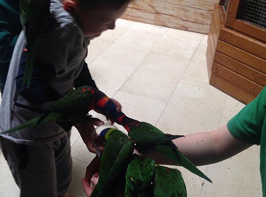 Gr I Wycieczka do Tuchlina