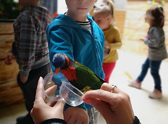 Gr I Wycieczka do Tuchlina