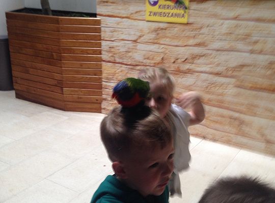 Gr I Wycieczka do Tuchlina