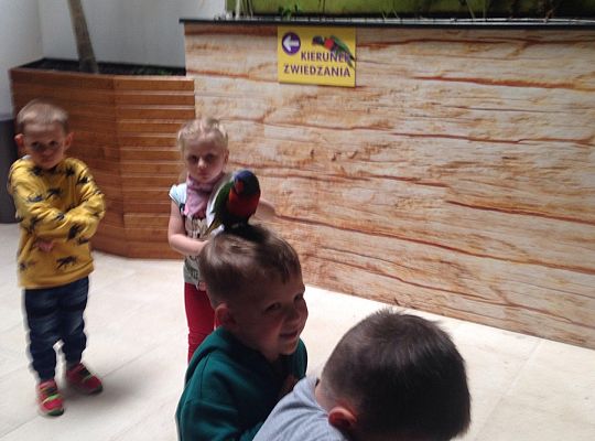 Gr I Wycieczka do Tuchlina