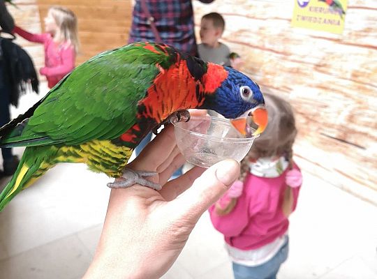 Gr I Wycieczka do Tuchlina