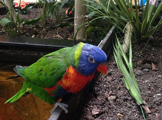 Gr I Wycieczka do Tuchlina