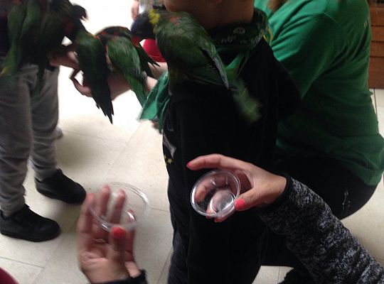 Gr I Wycieczka do Tuchlina