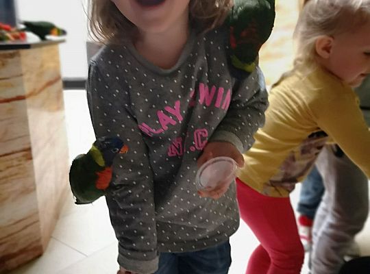 Gr I Wycieczka do Tuchlina