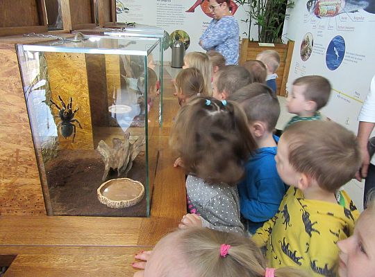 Gr I Wycieczka do Tuchlina