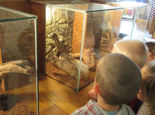 Gr I Wycieczka do Tuchlina