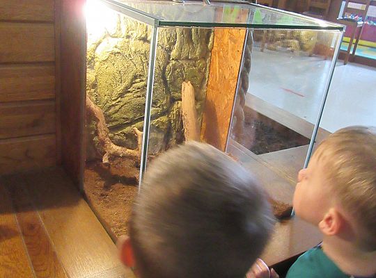 Gr I Wycieczka do Tuchlina