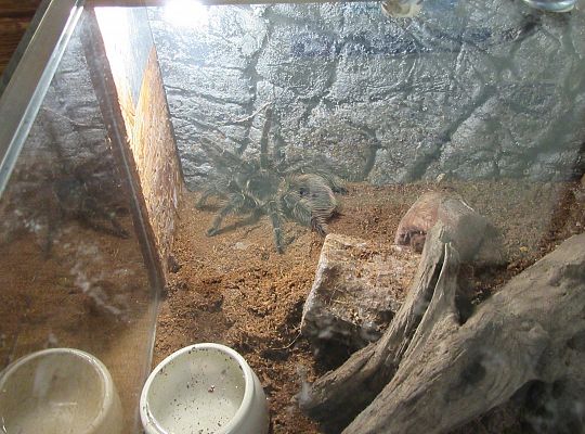 Gr I Wycieczka do Tuchlina