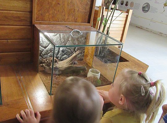 Gr I Wycieczka do Tuchlina