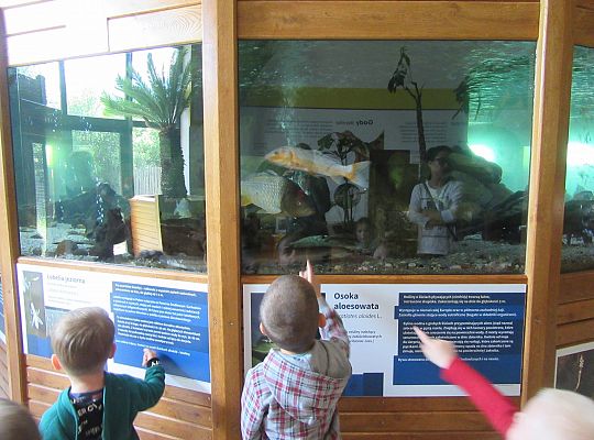 Gr I Wycieczka do Tuchlina