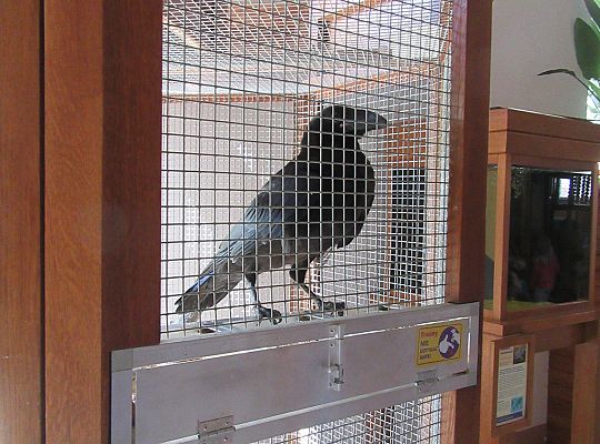 Gr I Wycieczka do Tuchlina