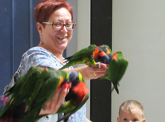 Gr I Wycieczka do Tuchlina