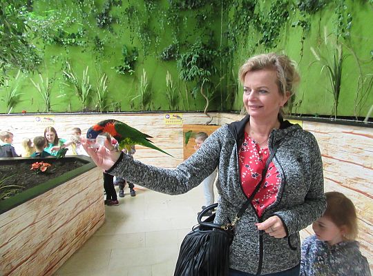 Gr I Wycieczka do Tuchlina