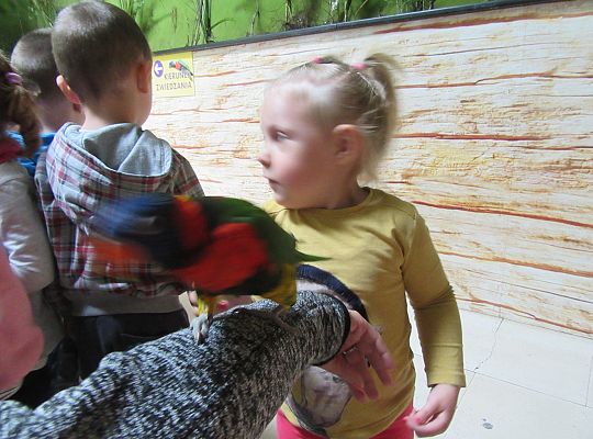 Gr I Wycieczka do Tuchlina