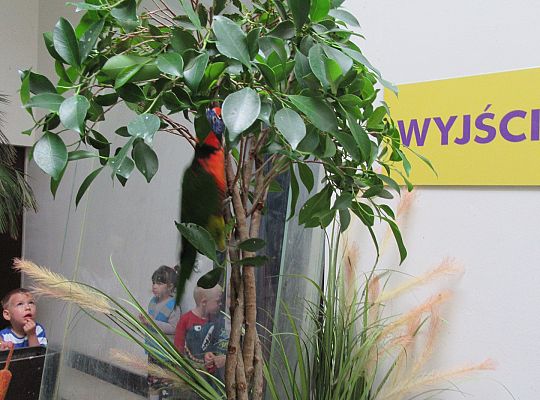 Gr I Wycieczka do Tuchlina