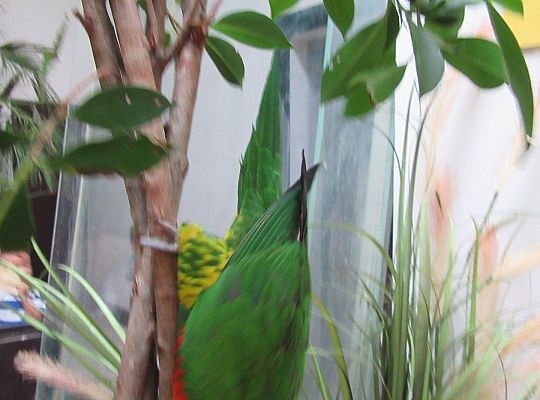 Gr I Wycieczka do Tuchlina