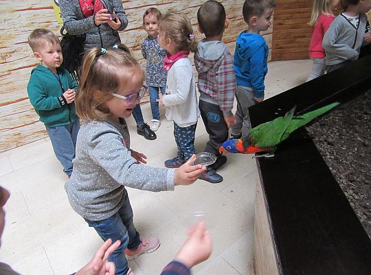 Gr I Wycieczka do Tuchlina