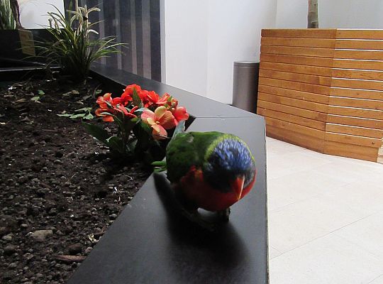 Gr I Wycieczka do Tuchlina