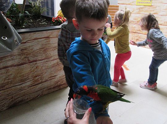 Gr I Wycieczka do Tuchlina