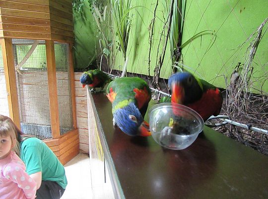 Gr I Wycieczka do Tuchlina